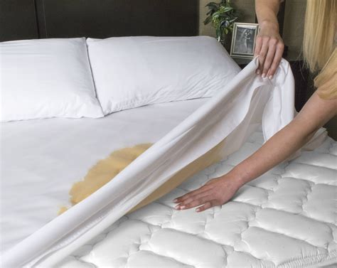 Zippered Mattress Protector - Bedbug proof Waterproof Encasement (11 ...