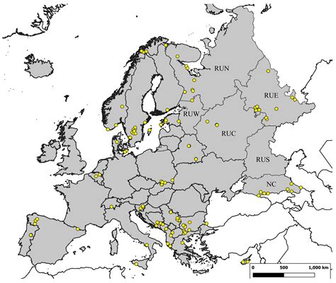 Contribution to the Knowledge of Cylindrotomidae, Pediciidae and