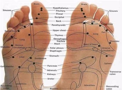 Footcare Services for Toenail Cutting and Callus Removal in Bristol ...