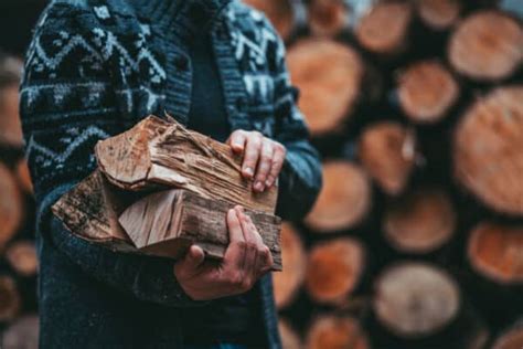 Free Firewood: 9 Options for Finding or Harvesting Your Own Firewood