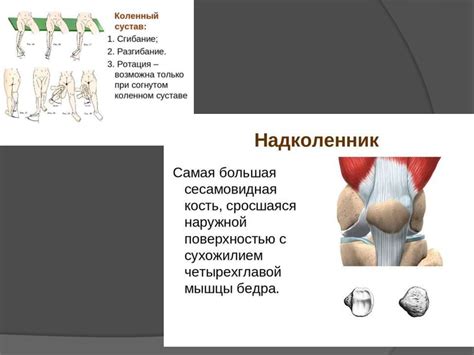 Повреждения и заболевания коленного сустава - презентация онлайн