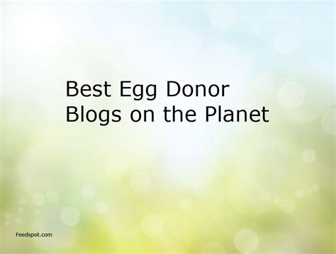 30 Best Egg Donor Blogs and Websites To Follow in 2024