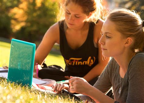 degrees  majors pullman campus washington state university