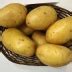 Картофель София: описание и характеристики, особенности посадки и ...