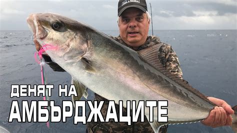 Денят на амбарджаците \ The amberjak's day - YouTube
