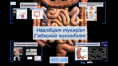 наалдцат түгжрэл чихэлдэлт түгжрэл by Ундка Энх-Ундрал on Prezi