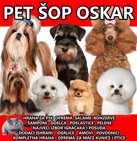 Pet Šop Oskar Hrana Oprema Šišanje pasa Trimeri Makaze