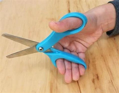 learning   scissors grades pre   studio   school