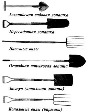 Лопата, чем отличаются лопаты, инструмент для дачи