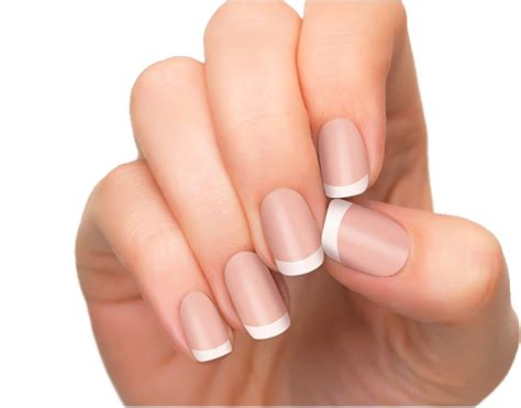 Nails PNG transparent image download, size: 613x480px