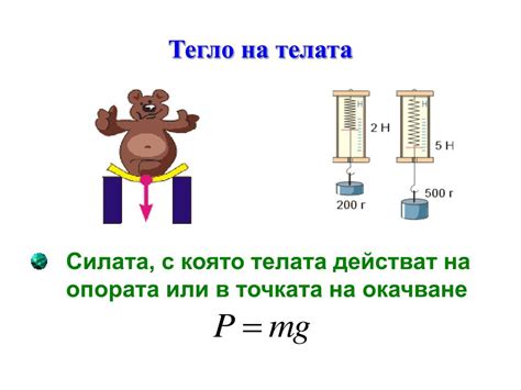 PPT - Човекът и природата – VI клас PowerPoint Presentation - ID:6871902