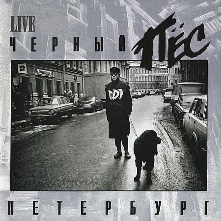 ДДТ: Черный Пес Петербург БЕЛЫЙ КОНВЕРТ ЧЕРНЫЙ ВИНИЛ, 2 LP 2016 ...
