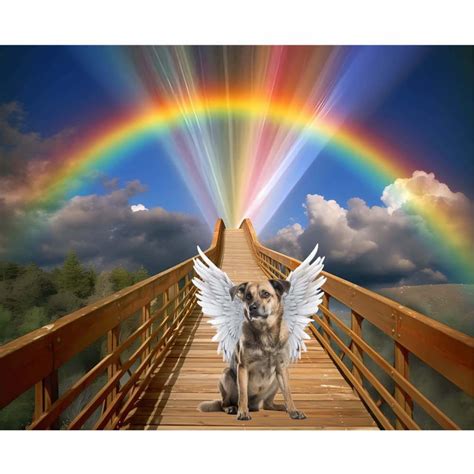 rainbow bridge clouds angel wings pet loss memorial etsy