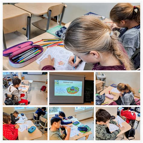 Team:Vilnius-Lithuania/Education - 2020.igem.org