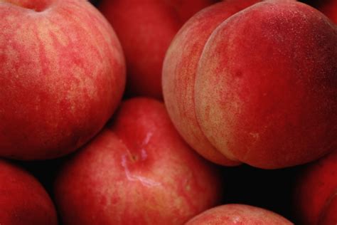 peach   id photohito