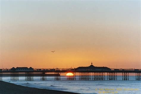 What’s so special about Brighton and Hove? – Brighton & Hove's Wildlife ...