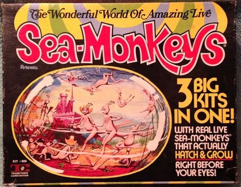 VINTAGE TOY ARCHIVE | Sea monkeys, Vintage toys, Old signs