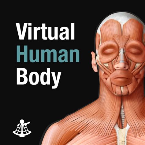 Virtual Human Body by QA International