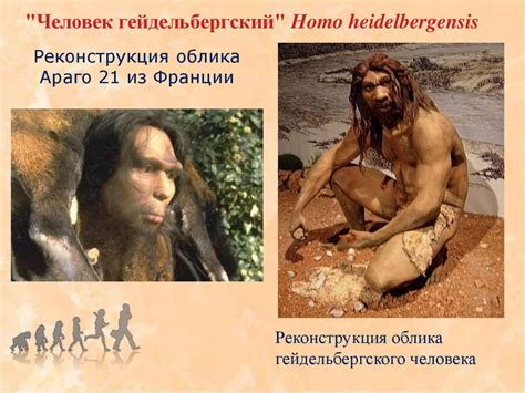Антропогенез. Доказательства антропогенеза - презентация онлайн