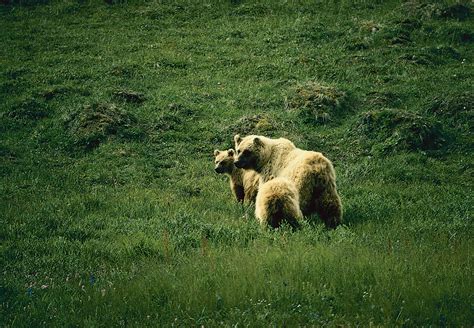 Things to do in Alaska in fall - Sunset Magazine