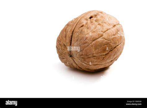 walnut  walnut shell walnut  res stock photography  images alamy