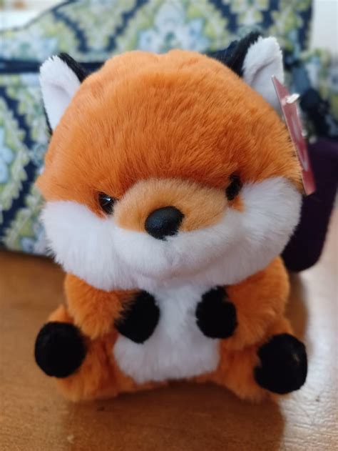 My boyfriend got me a chonky fox for my birthday and I'm obsessed. : r ...