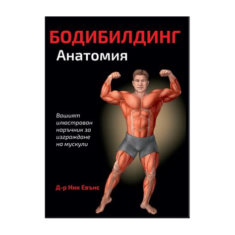 Бодибилдинг Анатомия | Супер Тренировъчен Наръчник