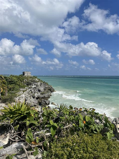 Sweet Girls of Ska added a new photo... - Sweet Girls of Ska