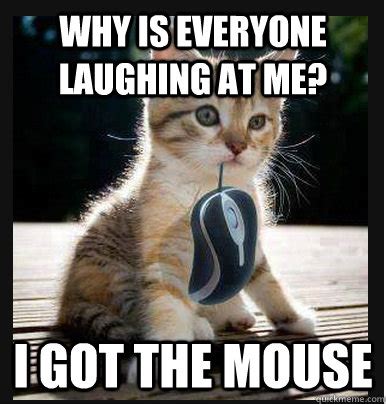 why is everyone laughing at me? i got the mouse - Disheartened Cat - quickmeme