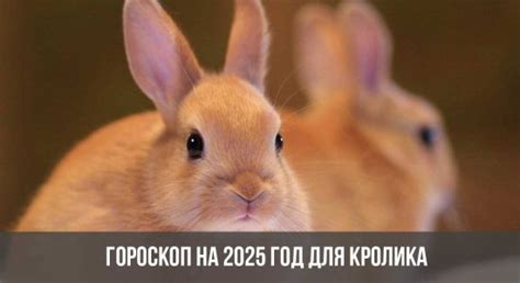 Чей год 2025 по восточному календарю: какого животного, кого