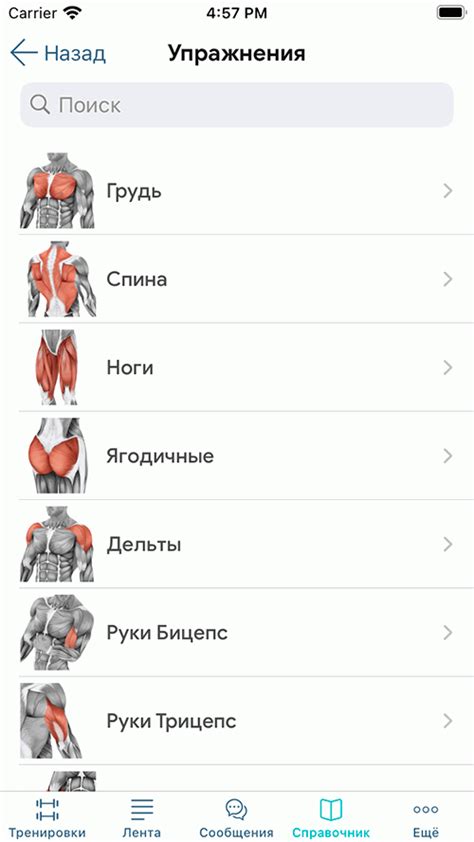 Фитнес Онлайн: тренировки в зале и дома. Бесплатное приложение
