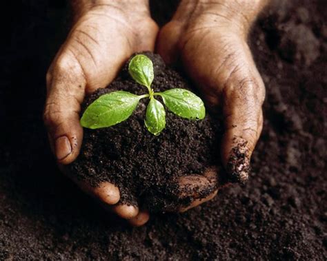 Composting 101 | Kirkland Environmental Services