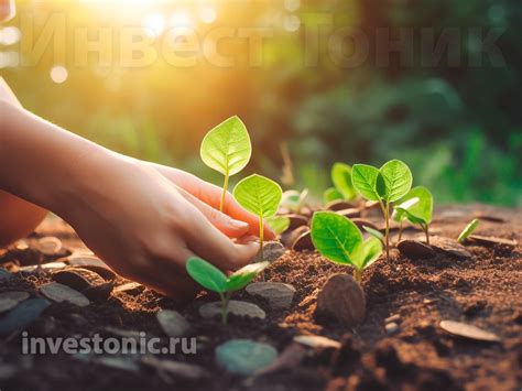 Что такое низкоуглеродная экономика