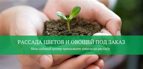 Салон цветов и садовый центр в Омске "Белая Орхидея"