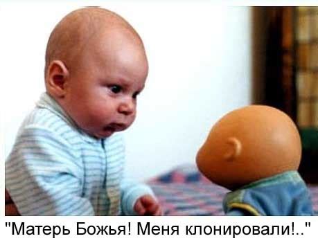 Клонирование - Фото Дом Солнца