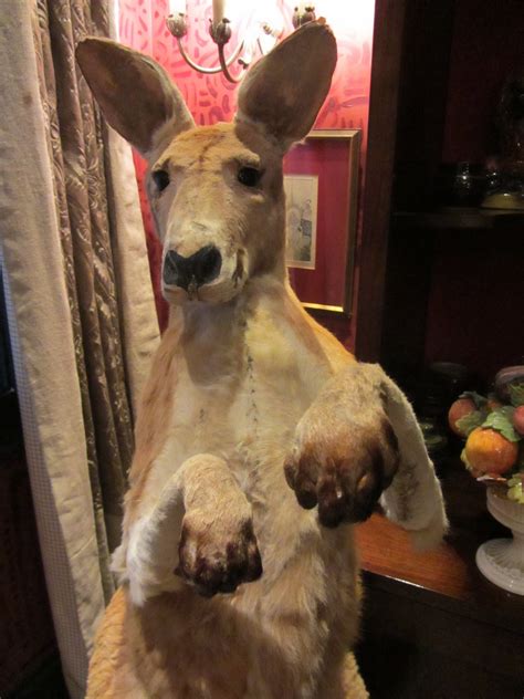 Miss Immy's London: The Zetter Townhouse Hotel & Cocktail Lounge