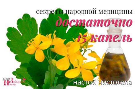 Чистотел. Свойства. Применение. Лечение. Противопоказания