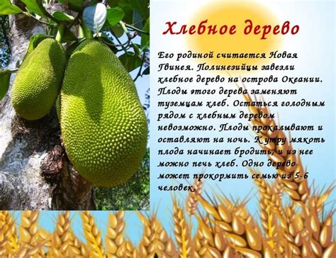 Хлебное дерево для детей в детском саду и в школе.