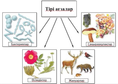 Тақырыбы "Тірі табиғаттағы үдерістер"