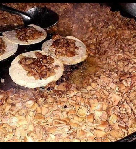 Tripa De Res Precocida Buy Outlet | www.alphamedicalmanagement.com