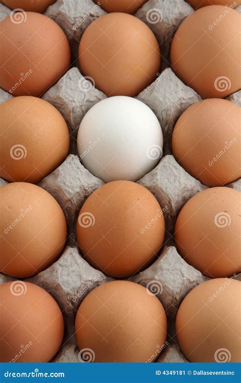 unique  stock image image  contrast distinct