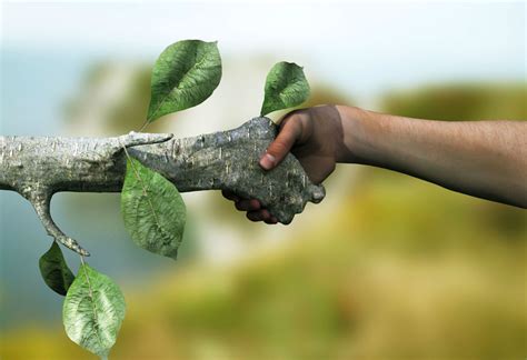Ética Ambiental, principios éticos y su relación con la Sostenibilidad ...