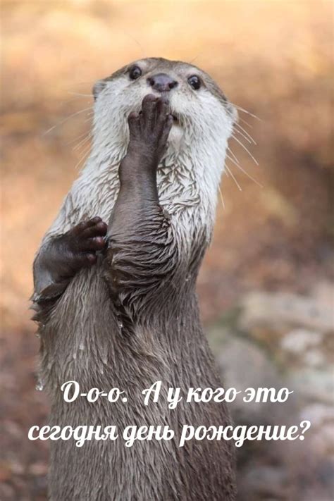 Открытки с Днем рождения с Юмором