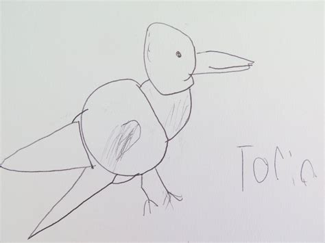 How to Draw a Raven — The Naturalist's Notebook