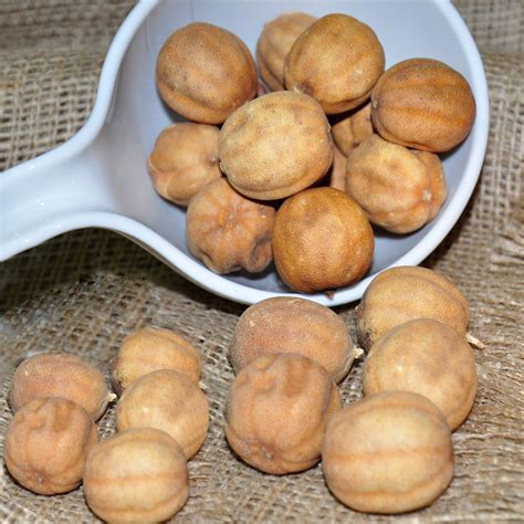 dry lemon alghaneem