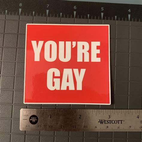 NEW you're Gay Sticker Funny Decals Premium Laminated Vinyl UV and