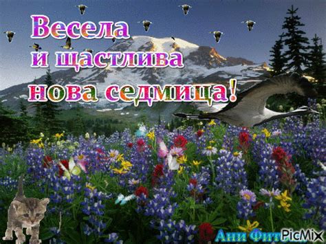 Весела и щастлива нова седмица! - Безплатен анимиран GIF - PicMix