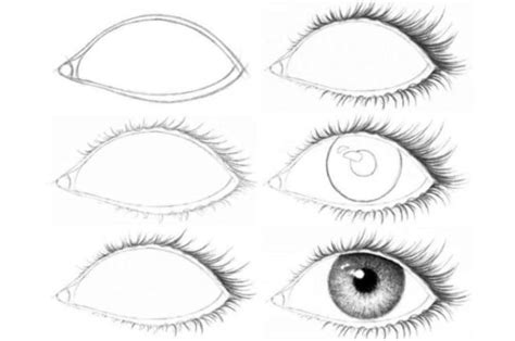 How to draw human eyes: 100 ideas how to draw an eye in 2021 | Eye ...