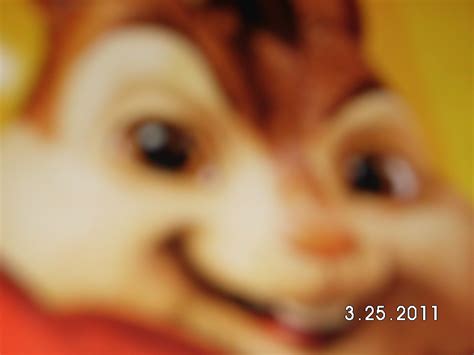 chipettes  chipmunks  chipettes   chipmunks photo