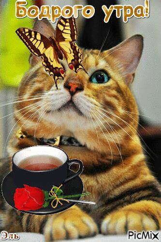 Доброе утро! - Free animated GIF - PicMix